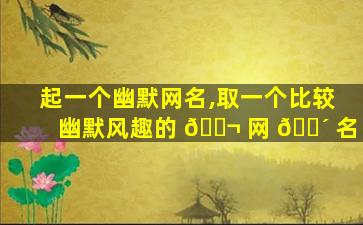 起一个幽默网名,取一个比较幽默风趣的 🐬 网 🌴 名